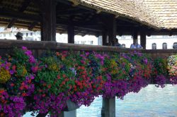 20160828- AGS Lecco-[P1090942]-Nr.0139